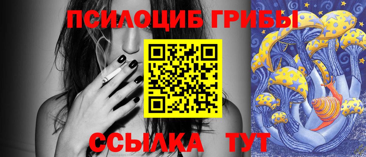 Галлюциногенные грибы Cubensis Чернушка